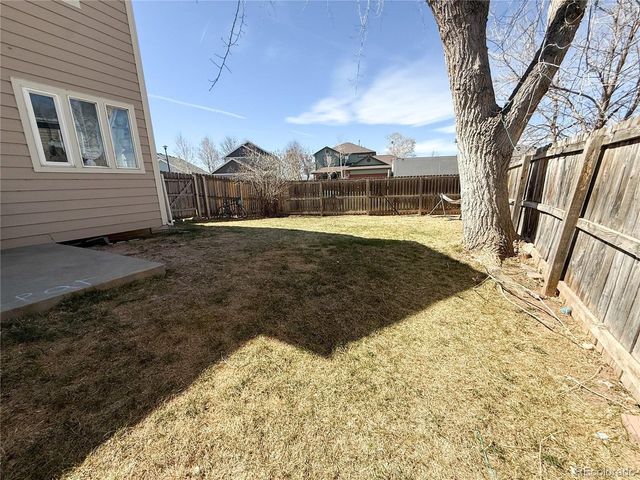 894 Durum St, Windsor, CO 80550