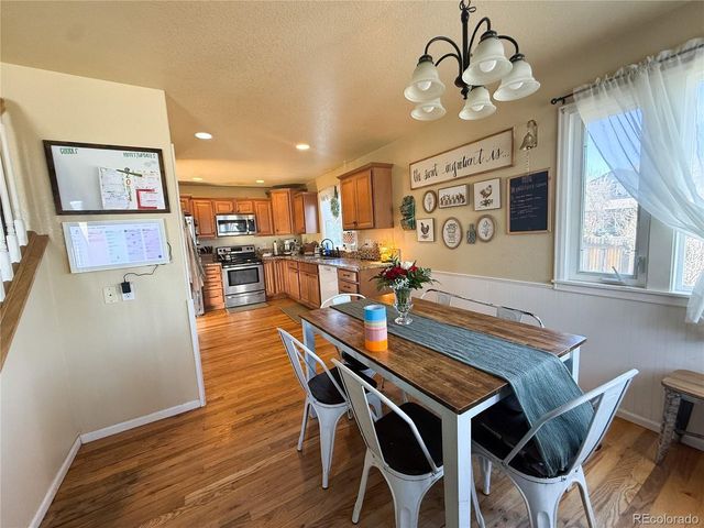 894 Durum St, Windsor, CO 80550