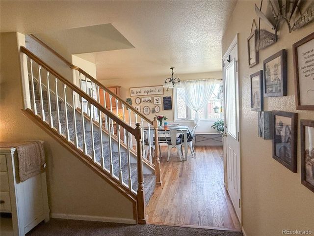 894 Durum St, Windsor, CO 80550