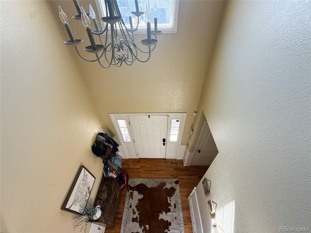 894 Durum St, Windsor, CO 80550