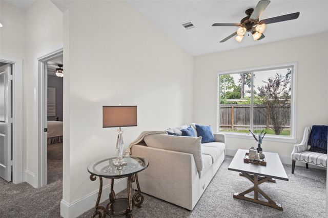 31246 Arbor Forest Lane, Spring, TX 77386