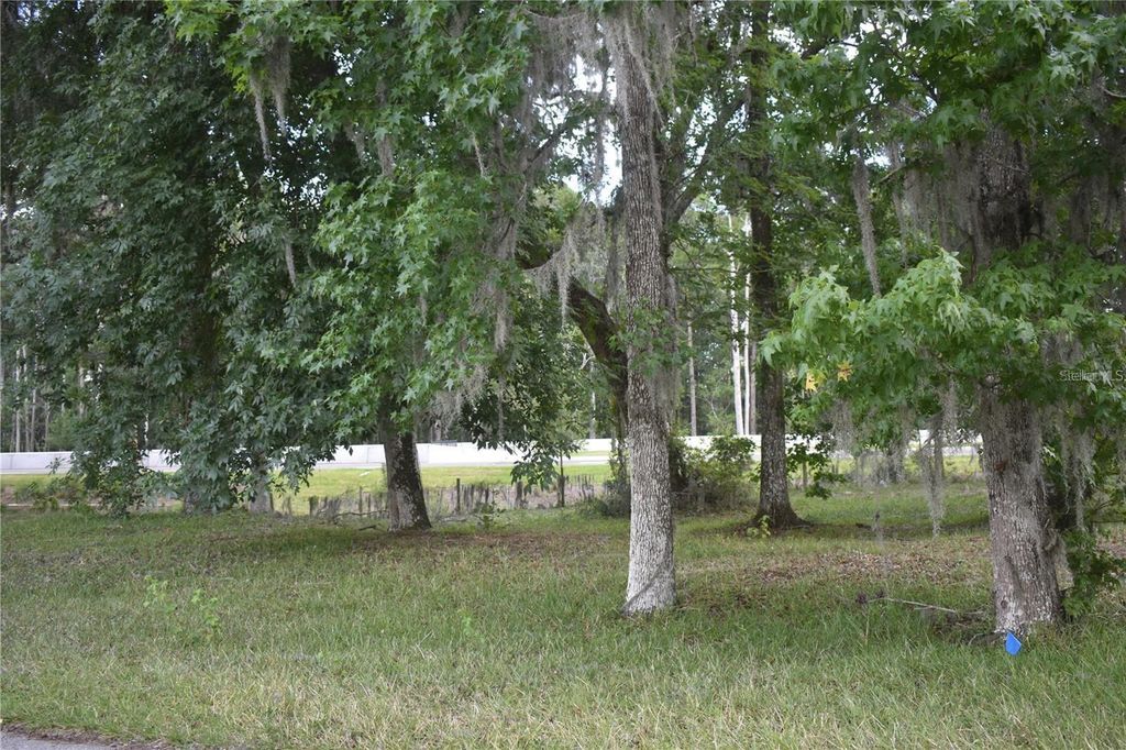 Lot 59 Blk C LEXINGTON CIRCLE, Wildwood, FL 34785