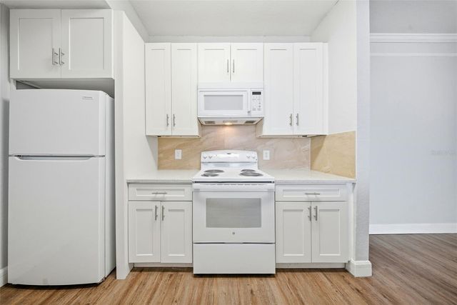 17114 CARRINGTON PARK DRIVE 201, Tampa, FL 33647