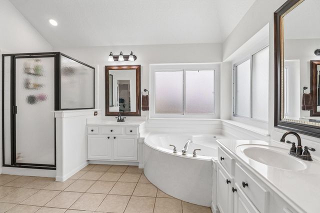 23921 Dorrington Estates Lane, Conroe, TX 77385