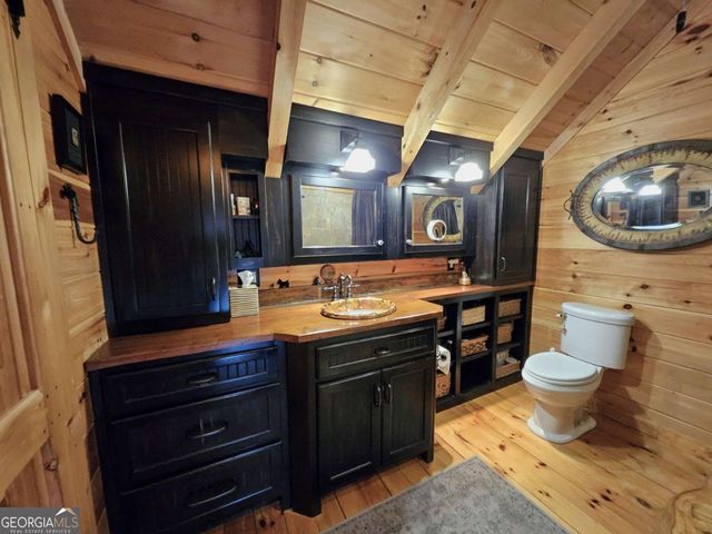 246 Adams Circle, Mineral Bluff, GA 30559