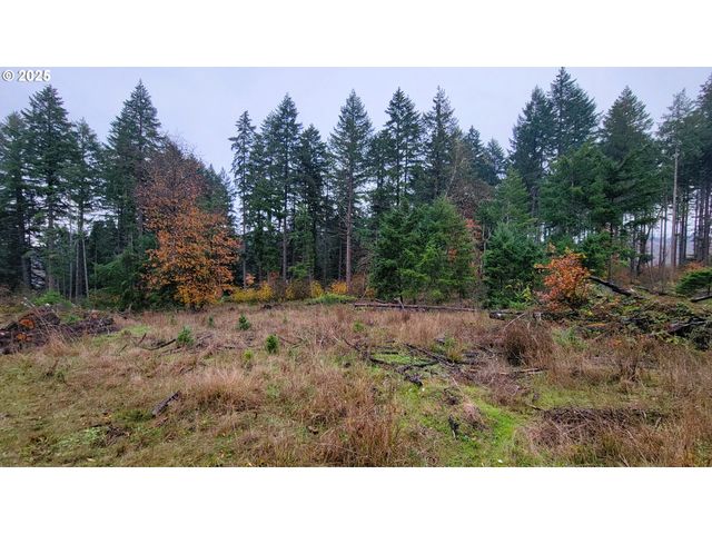 25346 WHEATON Ln, Veneta, OR 97487