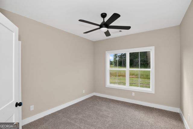 54 Melville Brown Road, Williamson, GA 30292
