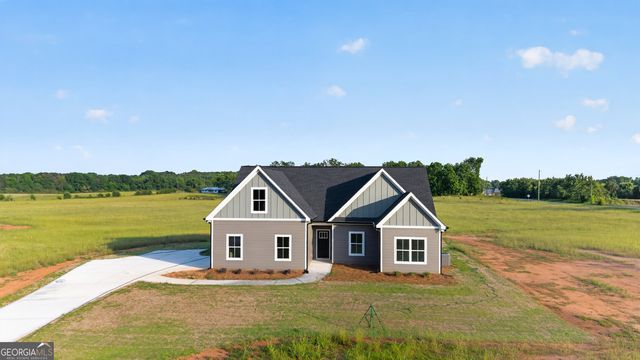 54 Melville Brown Road, Williamson, GA 30292