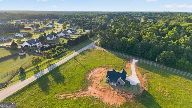 54 Melville Brown Road, Williamson, GA 30292