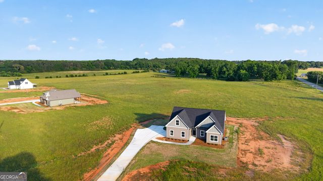 54 Melville Brown Road, Williamson, GA 30292