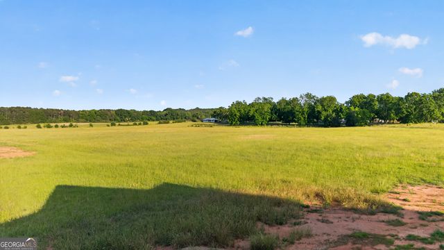 54 Melville Brown Road, Williamson, GA 30292