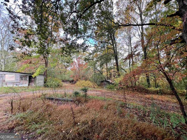236 Mini Ranch Drive, Clarkesville, GA 30523