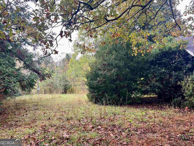 236 Mini Ranch Drive, Clarkesville, GA 30523