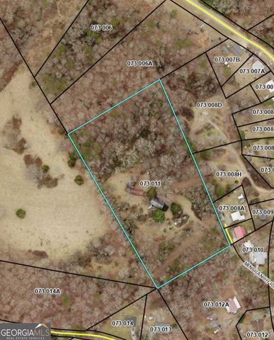 236 Mini Ranch Drive, Clarkesville, GA 30523