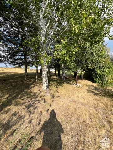 108 SOUTH RD, Montpelier, ID 83254