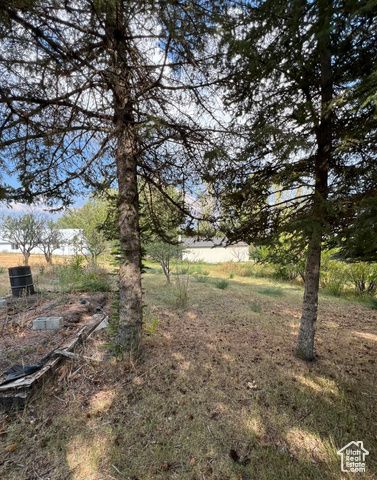 108 SOUTH RD, Montpelier, ID 83254