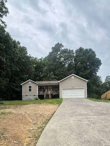 4061 Village Drive, Cohutta, GA 30701