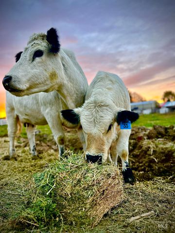 4825 High Hope Ln, Nampa, ID 83686