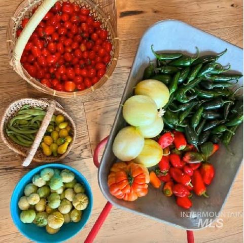 4825 High Hope Ln, Nampa, ID 83686