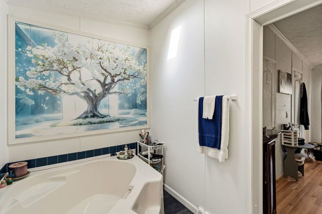 283 Bobcat Lane, Warne, NC 28909