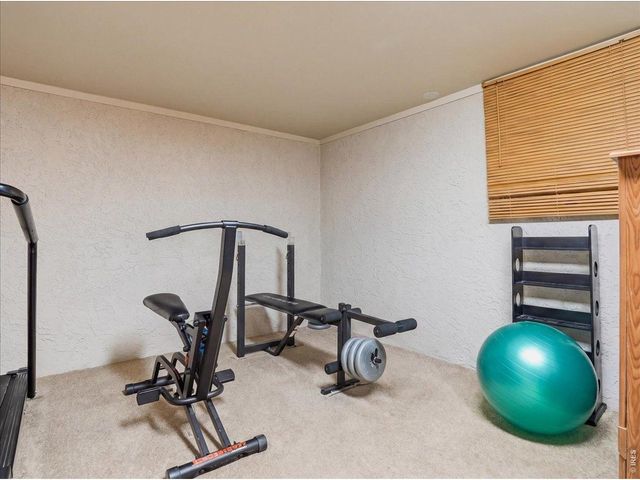 370 10th St, Windsor, CO 80550