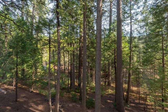 485 Moran Rd, Arnold, CA 95223