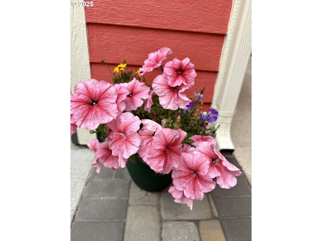 869 N COLLIER St, Coquille, OR 97423