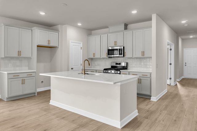 5384 Crinum Lilly, Summerville, SC 29485