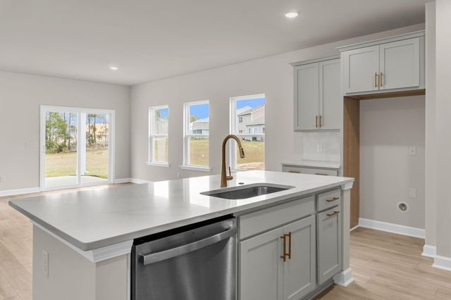 5384 Crinum Lilly, Summerville, SC 29485