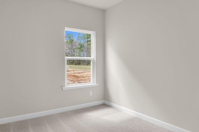 5384 Crinum Lilly, Summerville, SC 29485