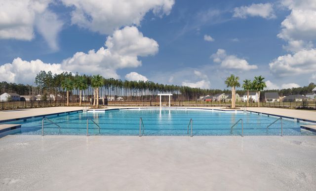 5384 Crinum Lilly, Summerville, SC 29485