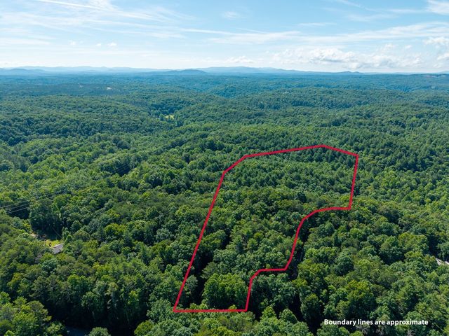 955 Lower Tails Creek Road, Ellijay, GA 30540