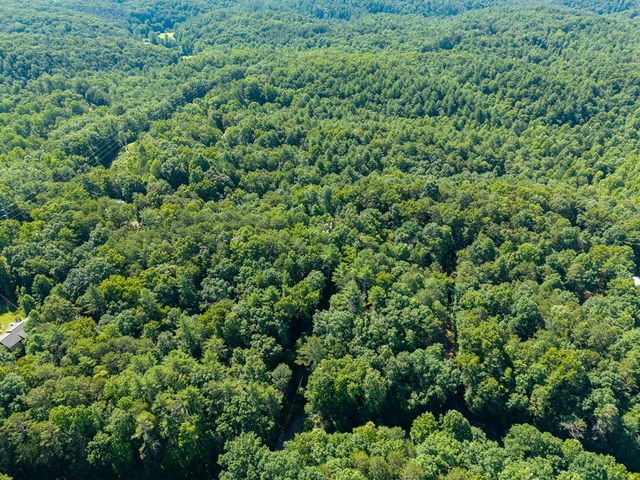955 Lower Tails Creek Road, Ellijay, GA 30540