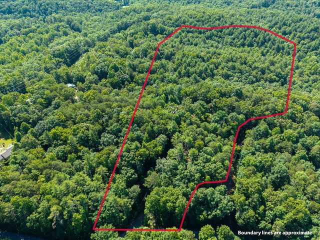 955 Lower Tails Creek Road, Ellijay, GA 30540