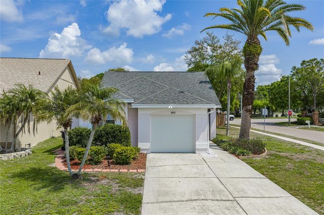 8601 COTTONWAY LANE, Tampa, FL 33635
