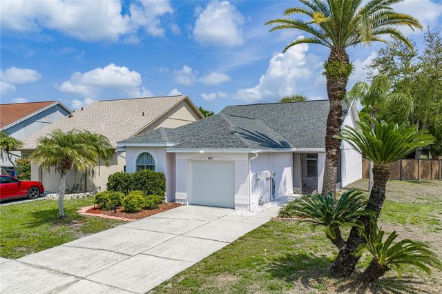 8601 COTTONWAY LANE, Tampa, FL 33635