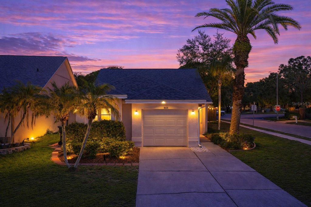 8601 COTTONWAY LANE, Tampa, FL 33635