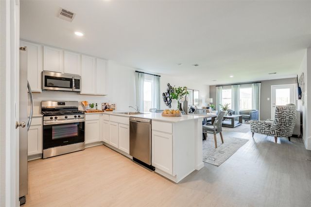 28802 Golden Wheat Drive, Hockley, TX 77447