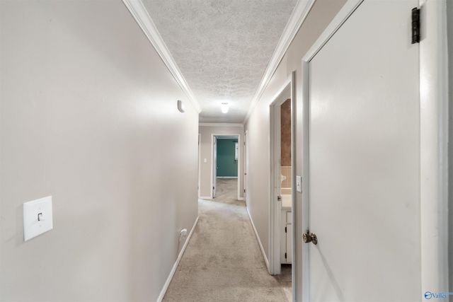 2580 Reeves Street, Hokes Bluff, AL 35903