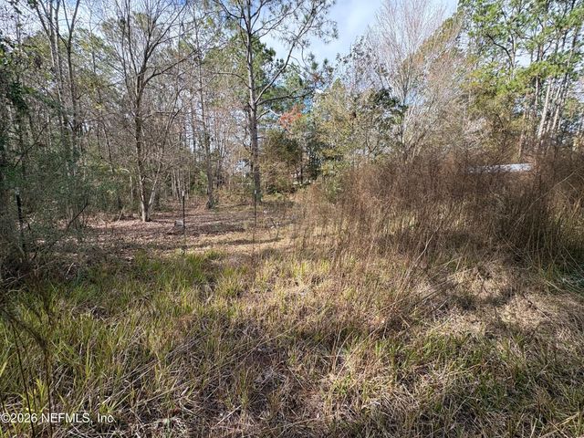 2009 CATHERINE Lane, Middleburg, FL 32068