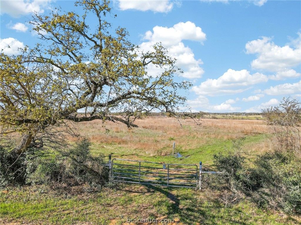 2534 Old Hickory Grove Road, Franklin, TX 77856 — photo 2