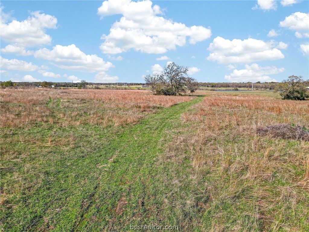 2534 Old Hickory Grove Road, Franklin, TX 77856 — photo 4