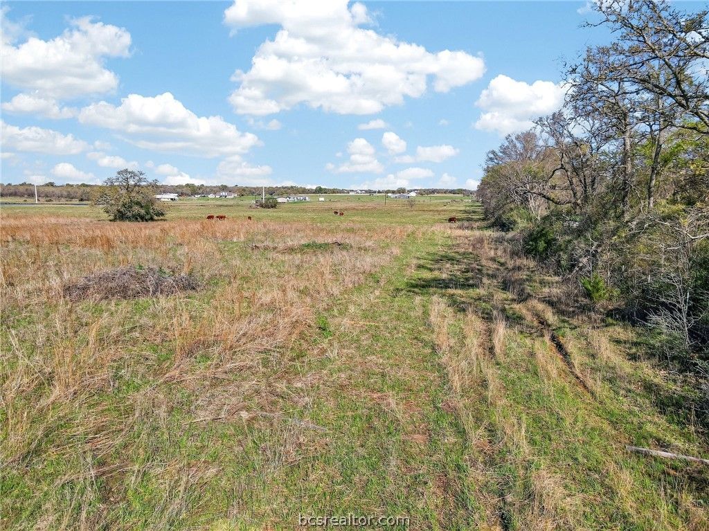 2534 Old Hickory Grove Road, Franklin, TX 77856 — photo 5