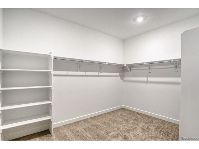 10873 Tundra Top Dr, Parker, CO 80134