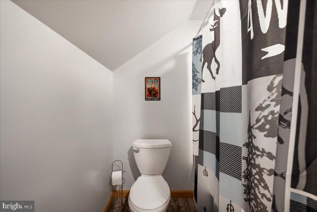 95 WHITE OAK DR, Swanton, MD 21561