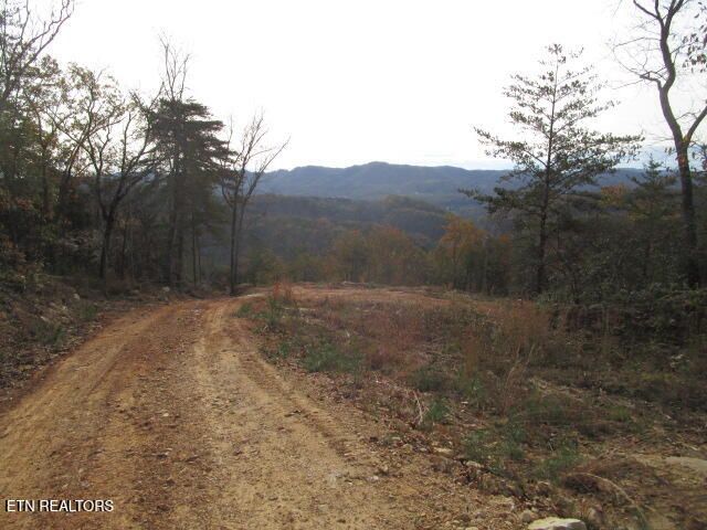 Poor Valley Rd, Rutledge, TN 37861