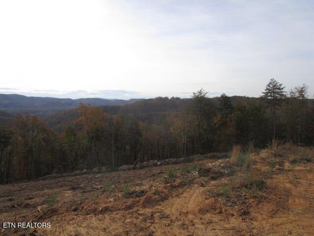 Poor Valley Rd, Rutledge, TN 37861