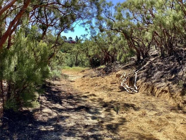 0 Burnt Valley, Anza, CA 92539