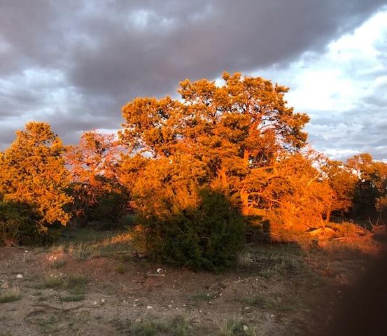 44 Brook Boulevard, Quemado, NM 87829