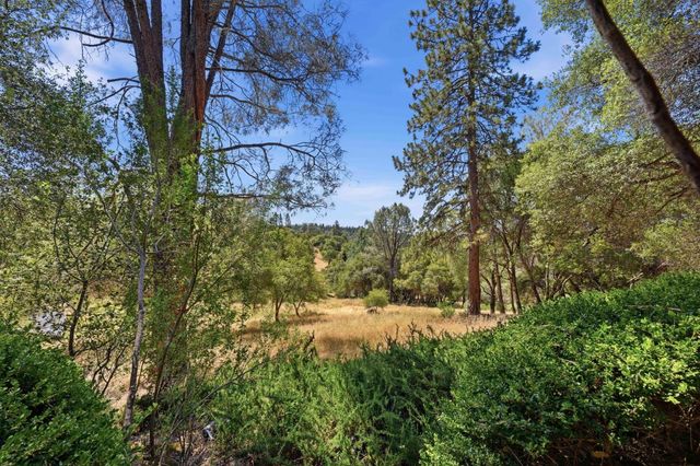 1109 Holly Leaf Ln, Meadow Vista, CA 95722